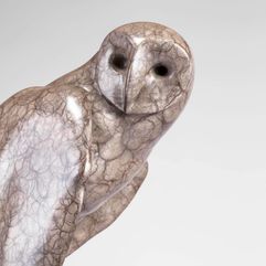 Bronze limited edition bird Sculpture 
